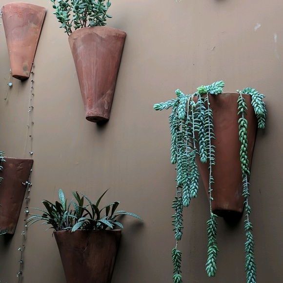 Meet your Posher, Lauren - Picture 1 of 1